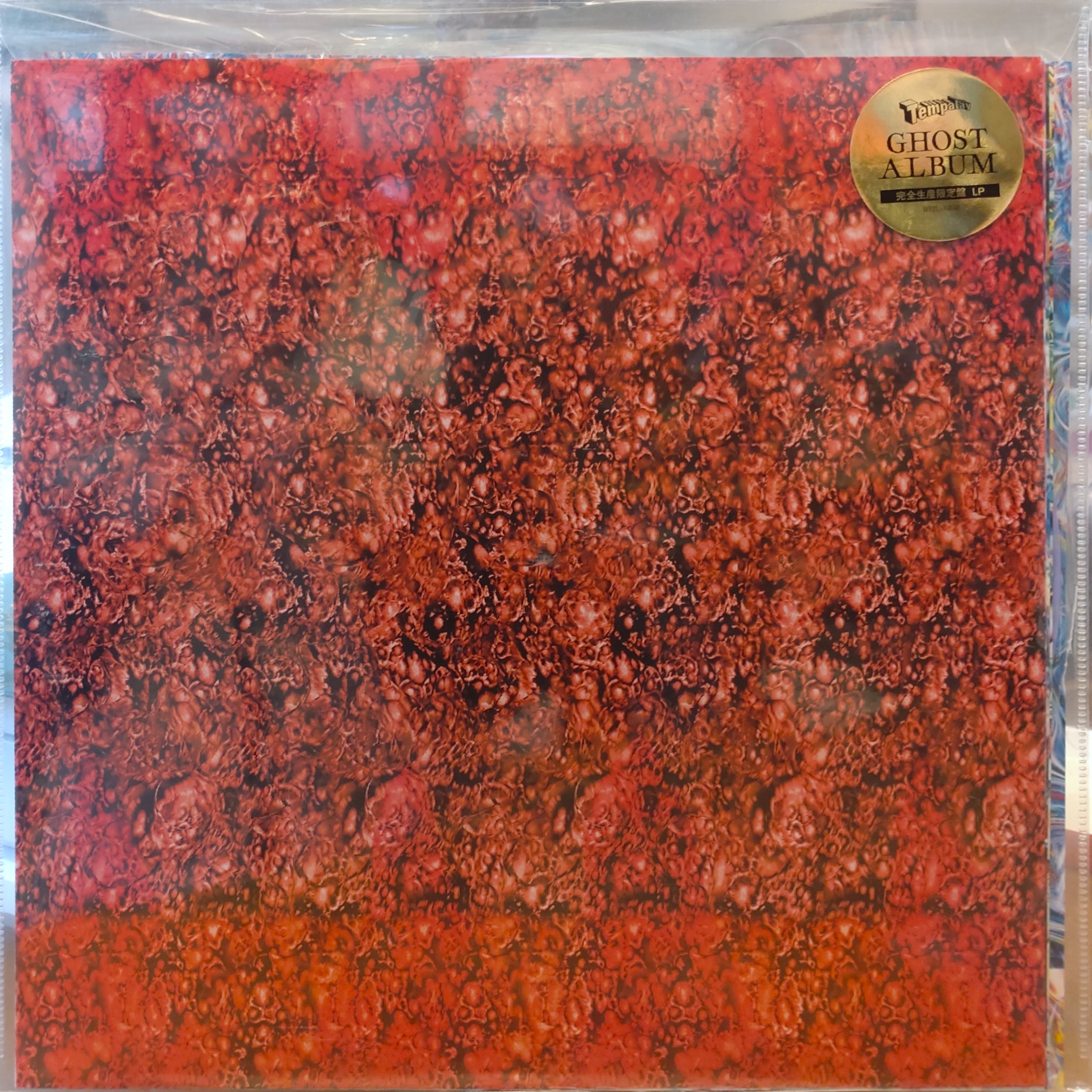 COCONUTS DISK WEBSTORE / Tempalay / ゴーストアルバム [Used LP]