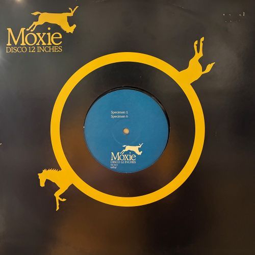 COCONUTS DISK WEBSTORE / Techno / House