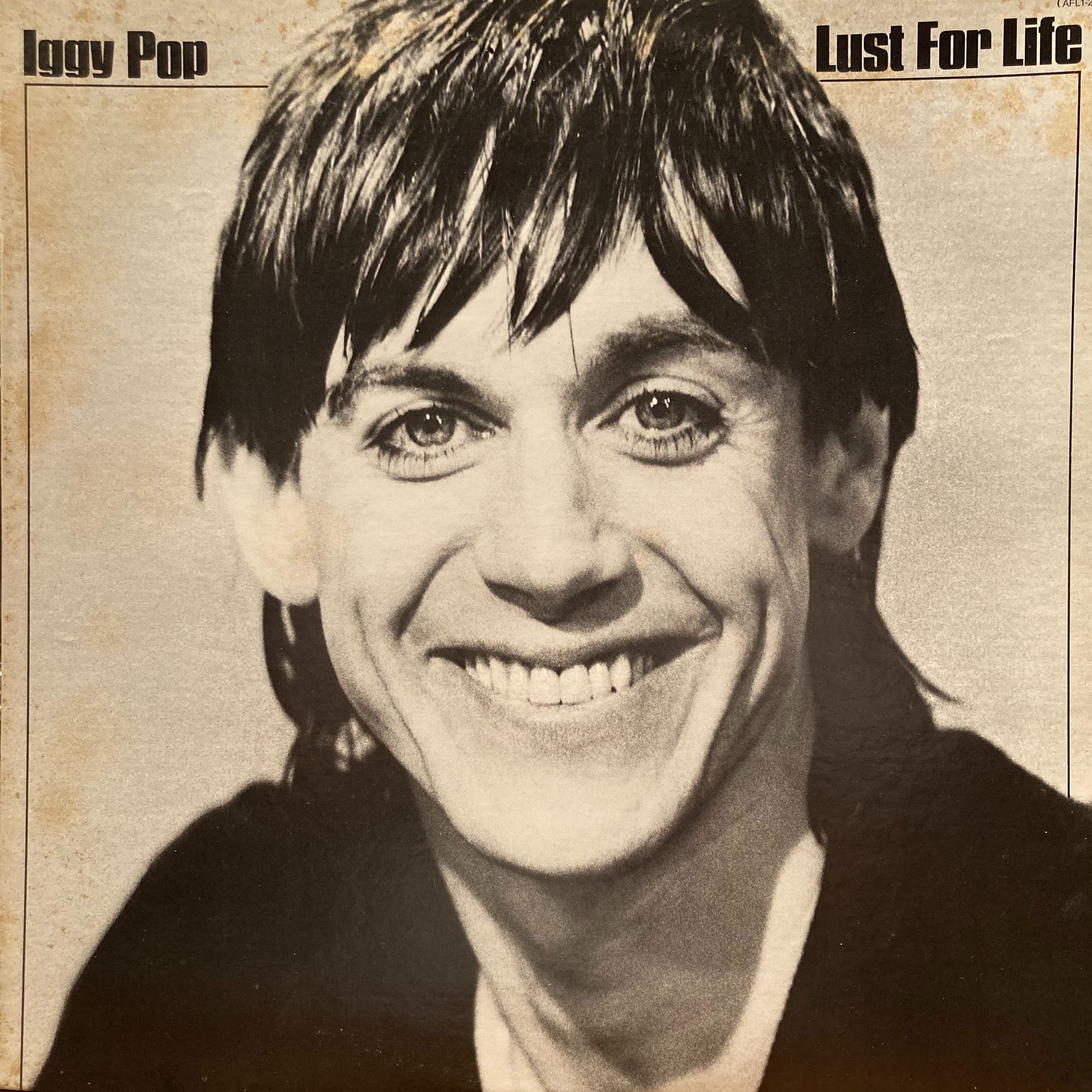 Iggy Pop、Mott The Hoople レコード(新品多数) COCONUTS DISK WEBSTORE / Punk