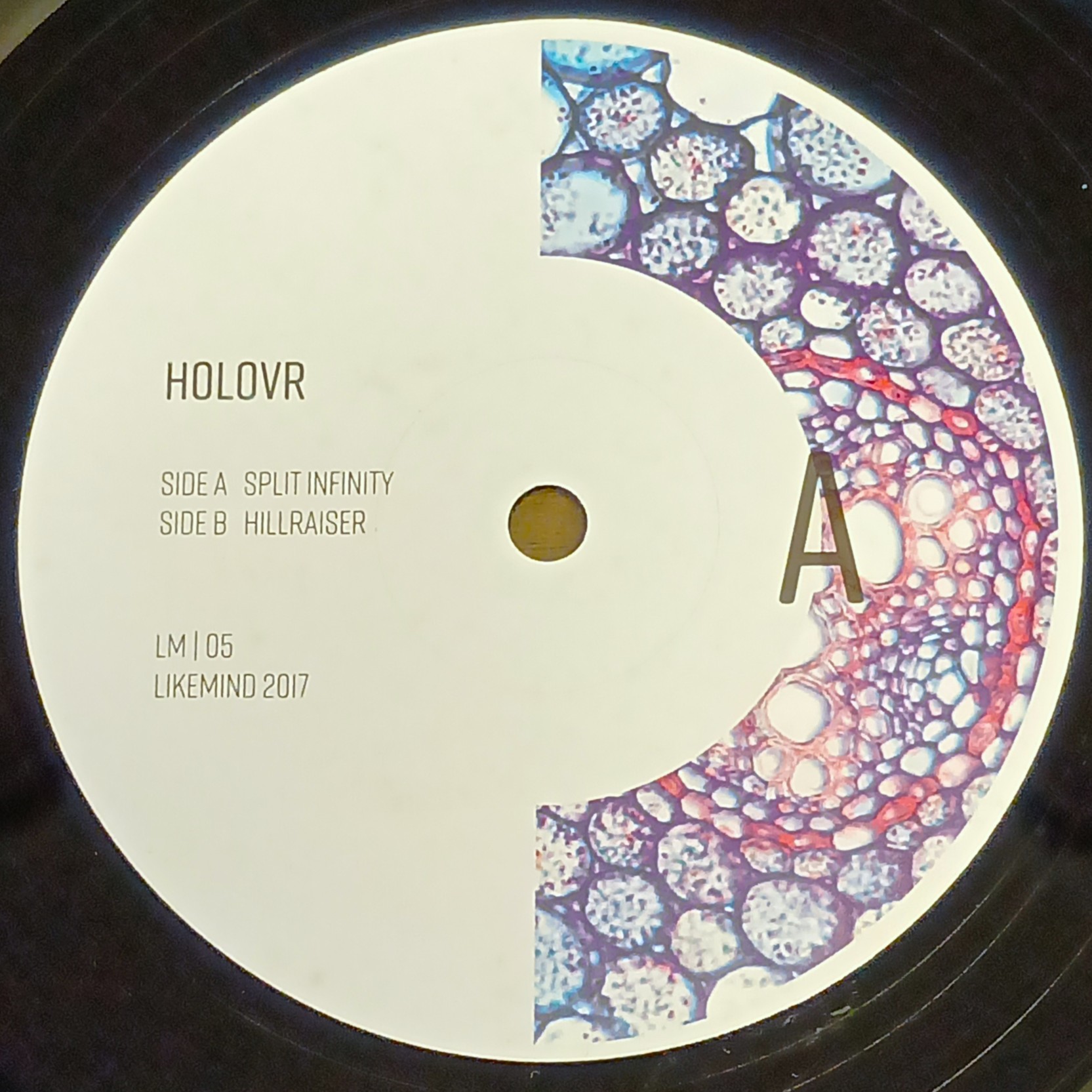 COCONUTS DISK WEBSTORE / Techno / House